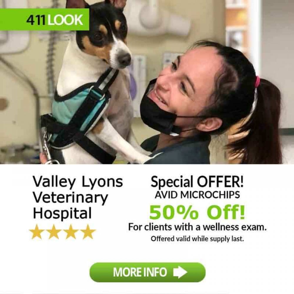 Valley Lyons Veterinary Hospital